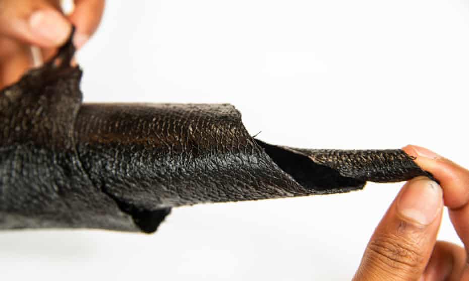 a person holding a trip of black leathery skin