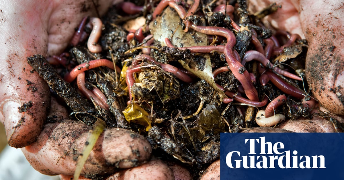‘Vital for looking after the soil’: fears as UK earthworm population declines | Animals