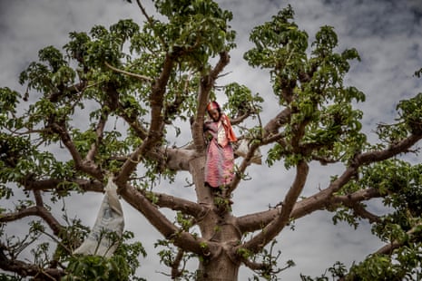 ‘It’s gentle and poetic’ … a girl climbs ‘the tree of life’.