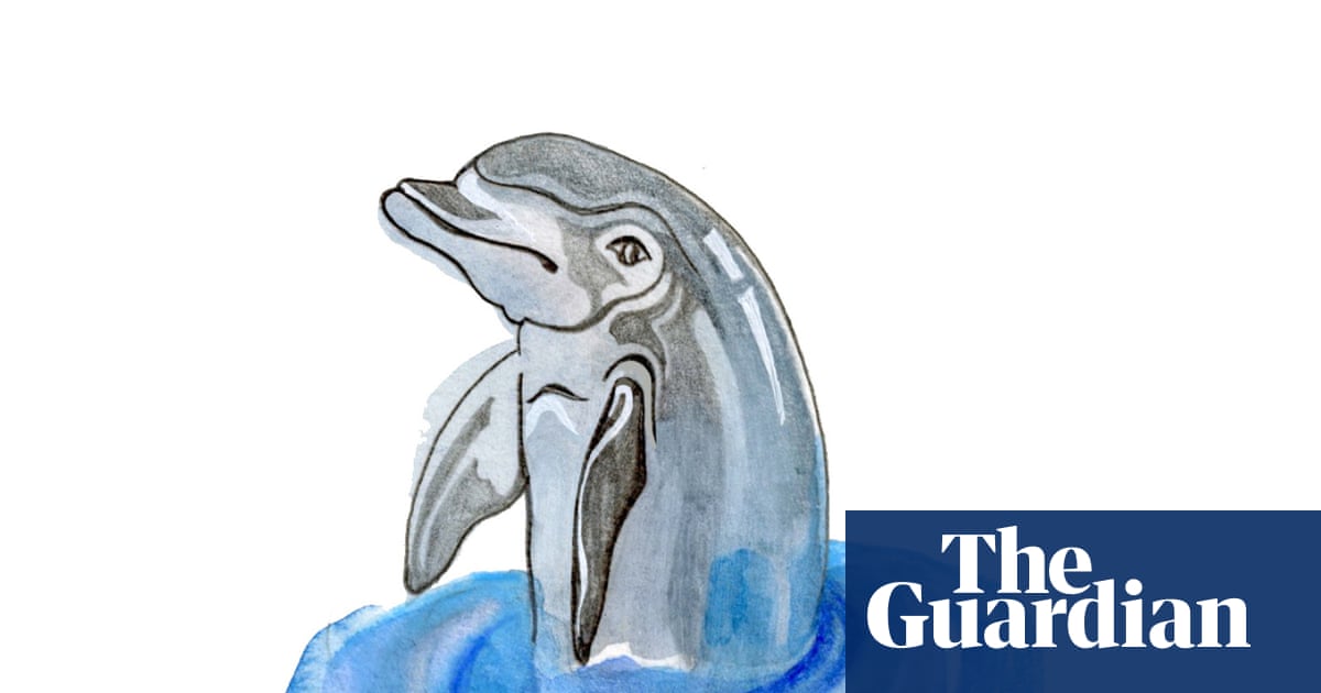 How do dolphins’ blowholes work and how fast do clouds travel? The kids’ quiz