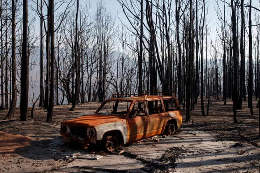 A torched car amid dead trees after wildfire destroyed the Kangaroo Valley Bush Retreat in New South Wales, January 2020.