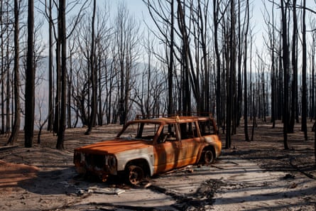 A torched car amid dead trees after wildfire destroyed the Kangaroo Valley Bush Retreat in New South Wales, January 2020.
