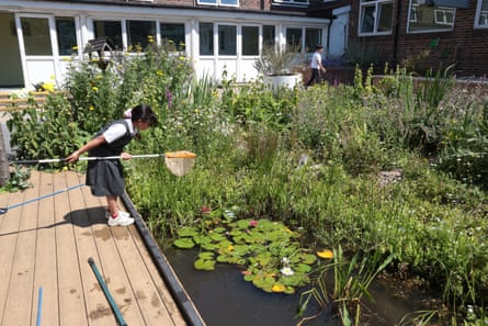 A girl using a net in a pond at the school