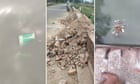 Officials take police action against leaders of bulldozed mosque in India