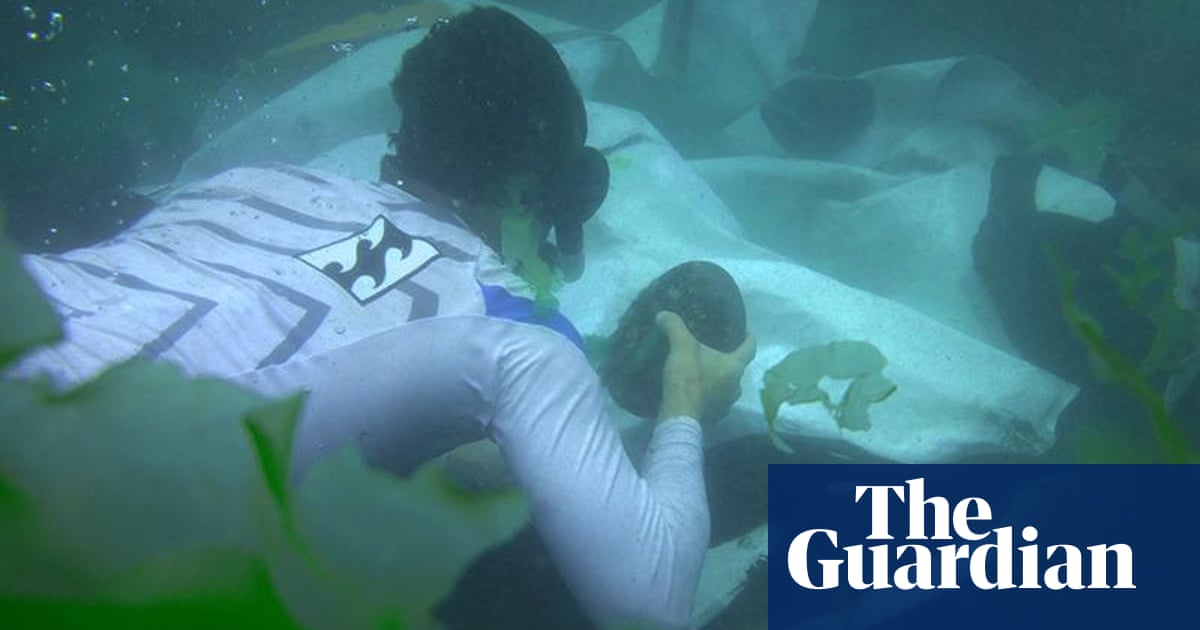 Meet the underwater artist inspired by a near-death experience | Art and  design | The Guardian