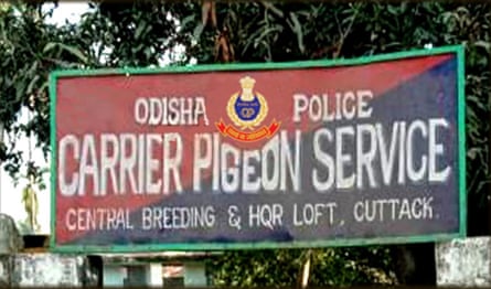 ‘Barracks’ for Odisha police’s pigeon brigade.