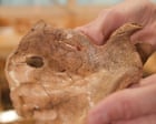 75,000-year-old Neanderthal may have been killed by spear