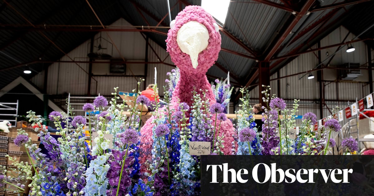 ‘Ban them until we know they’re safe’: Dutch flower growers urged to stop using pesticides | Pollution | The Guardian