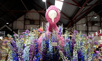 head and beak of a flamingo rises up from a base of blue and purple delphiniums inside a warehouse