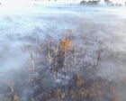 Firefighters hasten efforts to contain massive wildfires in France and Spain ahead of heatwave – Europe live