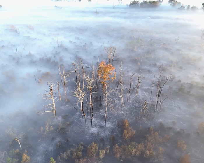 Wildfires Rage Across France and Spain as Governments Face Public Outcry