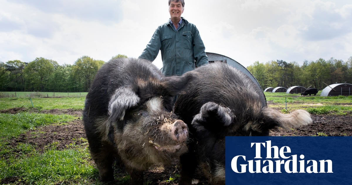 A unique ‘pig toilet’ and a diet of organic leftovers are part of former vet Kees Scheepens’ plans to put animal welfare and sustainability firs