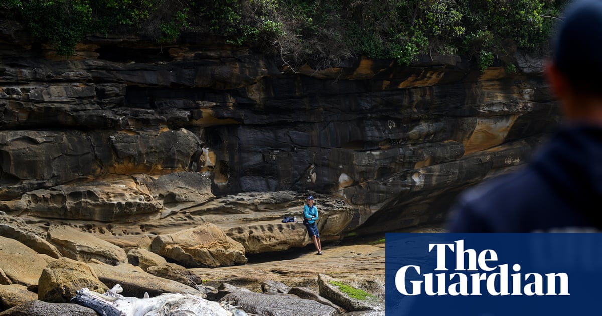 Whale carcass closes Sydney’s Coogee and Maroubra beaches as authorities plan respectful removal