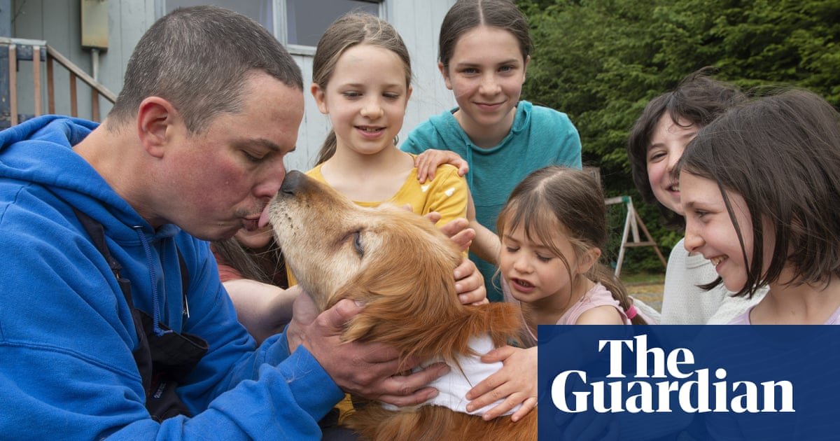 Alaska family’s blind golden retriever found after being lost for three weeks