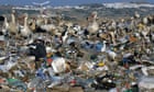 Las aves (y los ornitólogos) acuden en masa a un enorme vertedero de basura en España