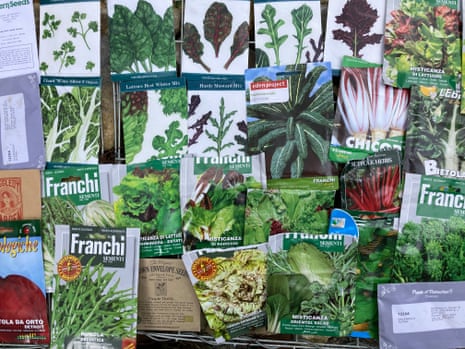 Warm-Season Vegetable Bundle with 7 Seed Packets