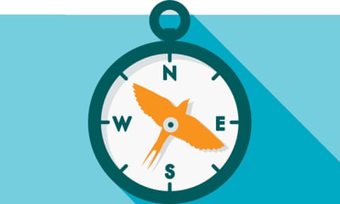 Силуэт птицы, похожей на ласточку, указывающей на северо-восток на карманном компасе