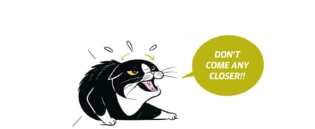 Extracted from KITTY LANGUAGE by Lili Chin