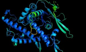 DeepMind’s Alpha Fold artificial intelligence network is able to infer a protein’s 3D shape from its amino acid sequence.