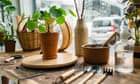 Houseplants aren't really meant for inside, so give them some attention