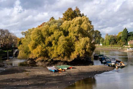 The annual river Thames Draw off between Richmond and Teddington occurs when Richmond Lock remains open to allow river water to flow out with the tides to the mouth of the Thames – giving time for maintenance of the lock, weirs and sluices