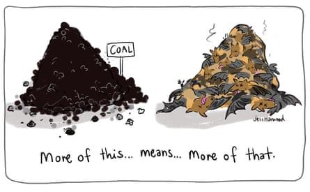 Bats