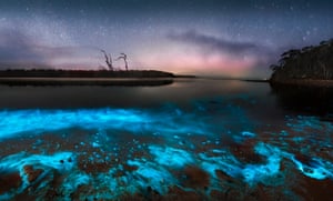 Água bioluminescente espirrando na costa