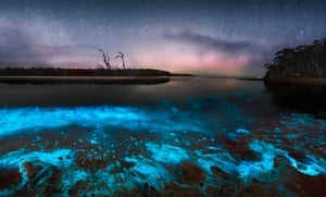 Bioluminescent water splashing on the shoreline