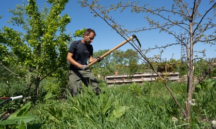 Man works with agricultural tool with crops and trees around against blue sky