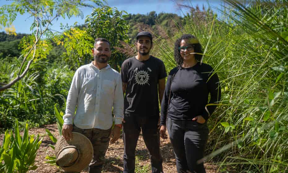 Two men and a woman stand among a lush field in Dorado, Puerto Rico.