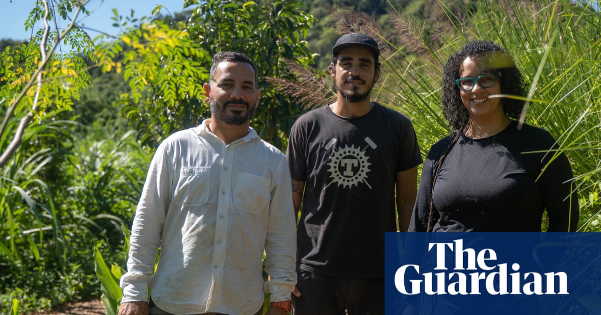‘An act of rebellion’: the young farmers revolutionizing Puerto Rico’s agriculture