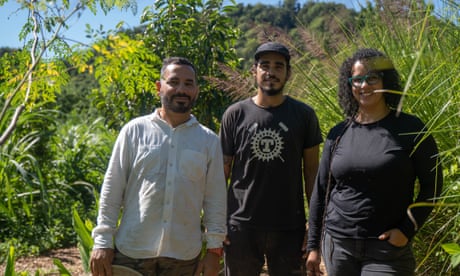 Two men and a woman stand among a lush field in Dorado, Puerto Rico.
