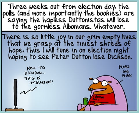 First Dog on the Moon cartoon on Election Vibes, panel 3