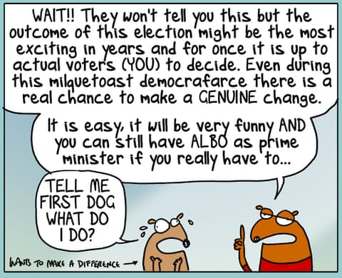 First Dog on the Moon cartoon on Election Vibes, panel 6