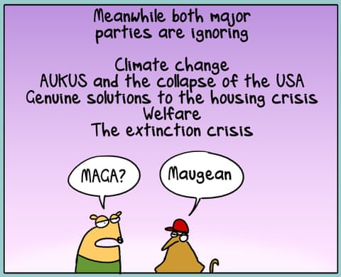 First Dog on the Moon cartoon on Election Vibes, panel 4