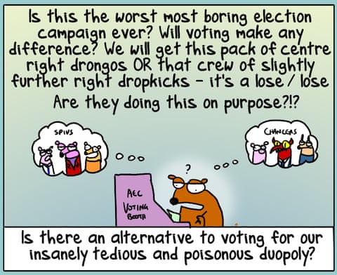 First Dog on the Moon cartoon on Election Vibes, panel 2