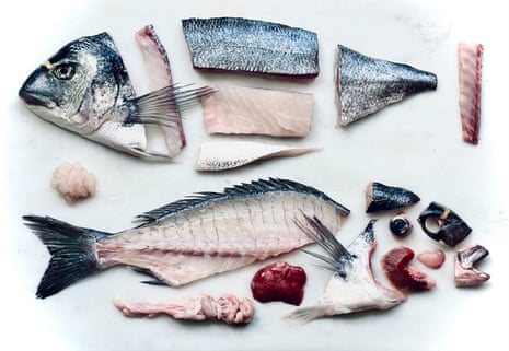 465px x 321px - How to eat a whole fish, nose to tail | Food | The Guardian