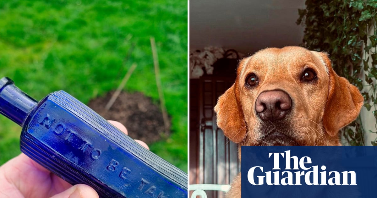 Dog digs up possible link to notorious 19th-century Devon murder case