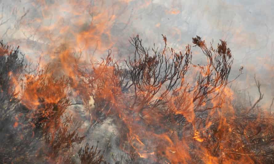 Muirburn (heather burning) on an upland grouse moor in Glenfeshie, Scotland.