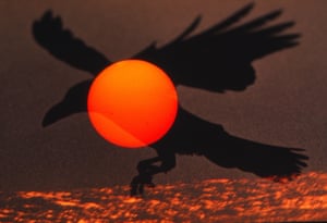 Ravens: Noctambulant Flight, 1980