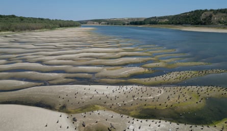 Birds stand on the dried-out riverbed