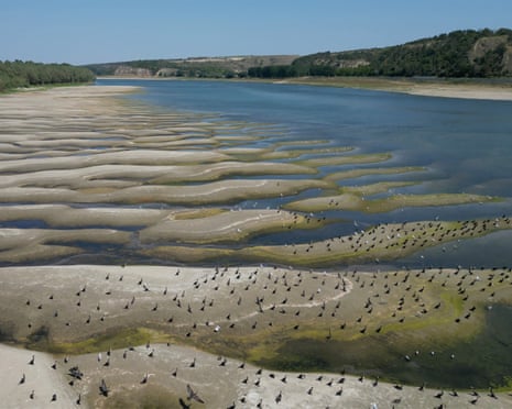 Birds stand on the dried-out riverbed of Danube in Rasova village, Romania.