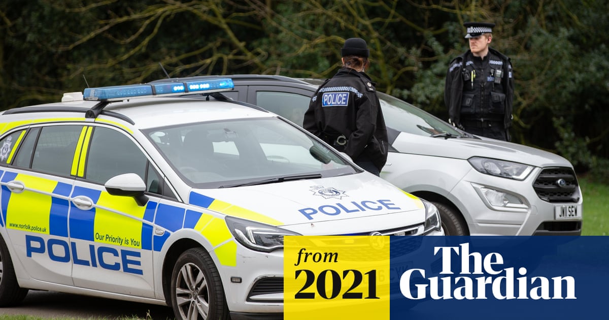 UK police trial Tesla cars as fleets prepare for shift to electric