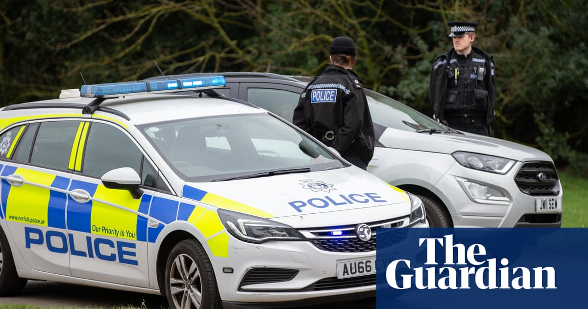 UK police trial Tesla cars as fleets prepare for shift to electric