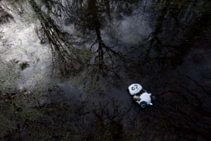 Chris Packham photographs the impact of litter - in pictures ...