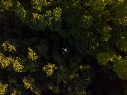 overhead view of drone above trees