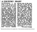 Country Diary image from newspaper