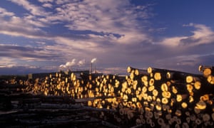 A paper mill in Minnesota.