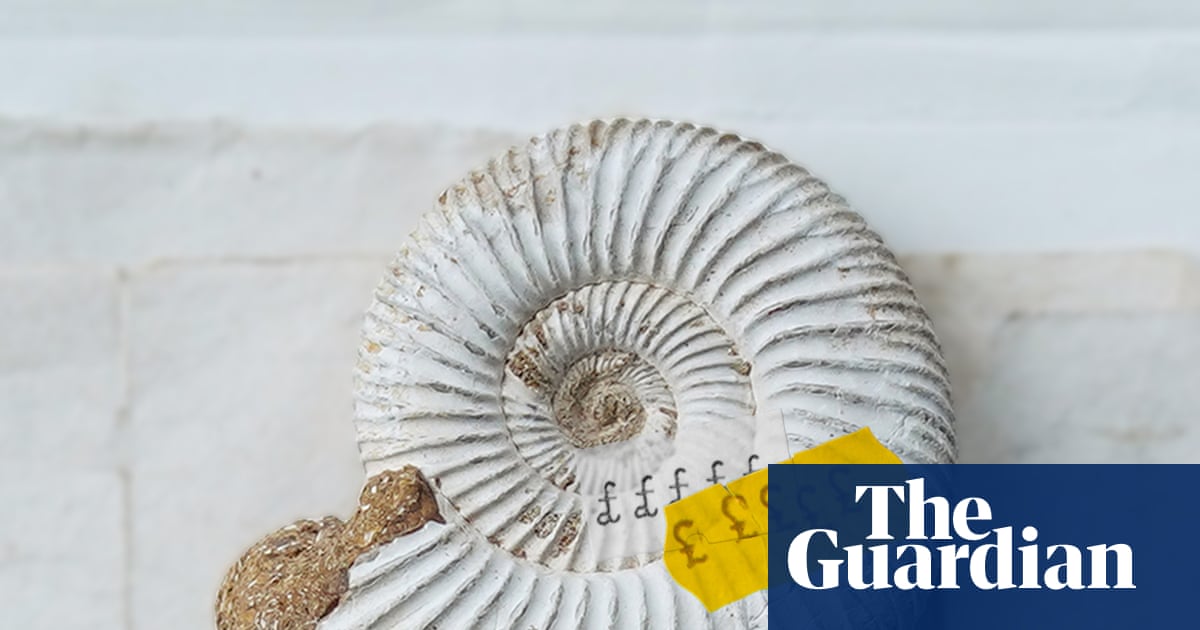 One of UK’s best fossil collections sold overseas in ‘loss to the nation’