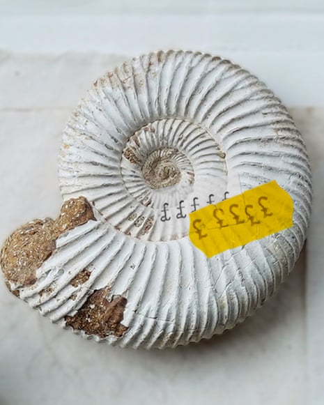 A fossil with a price sticker on it containing several pound signs